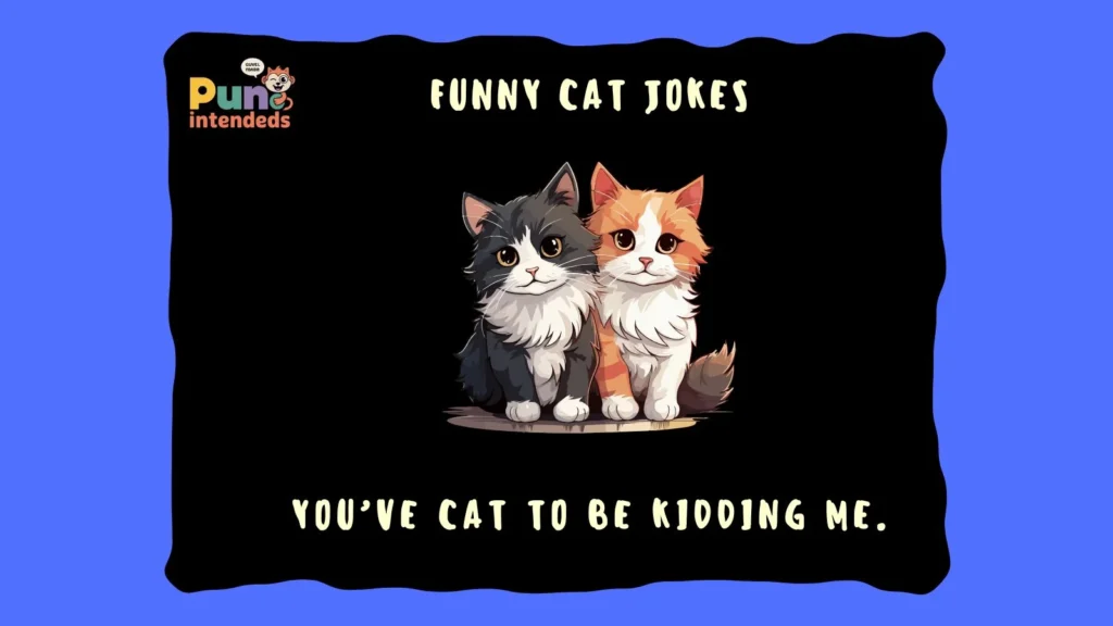 funny cat jokes