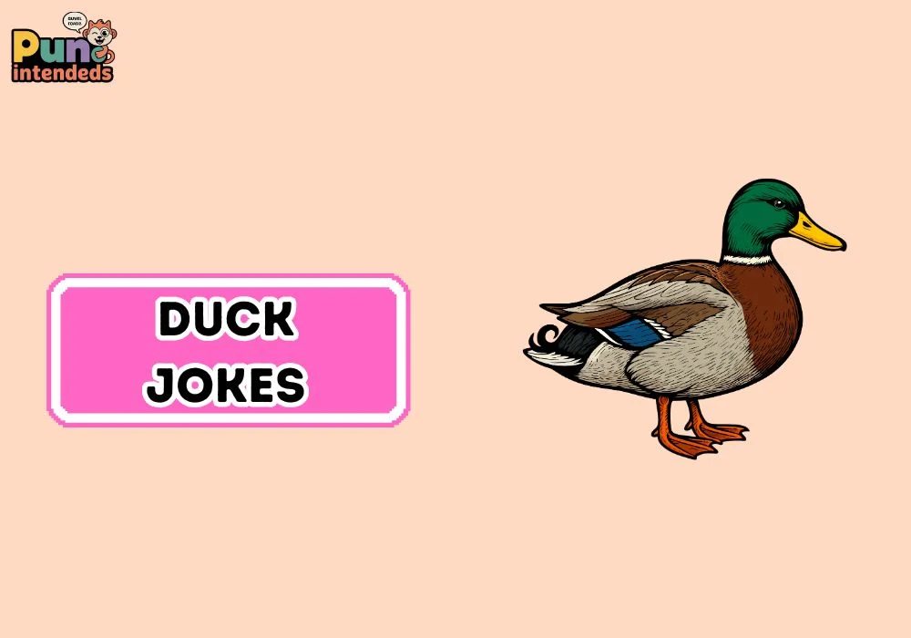 duck jokes