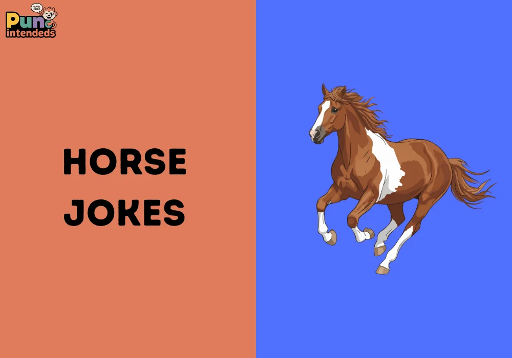 horse jokes
