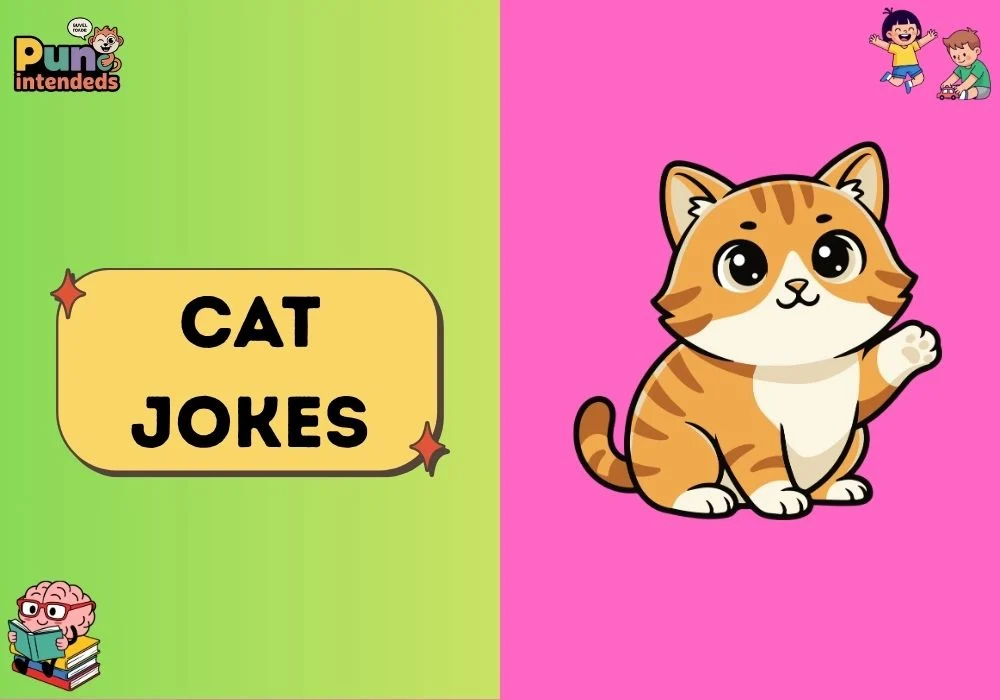 cat jokes