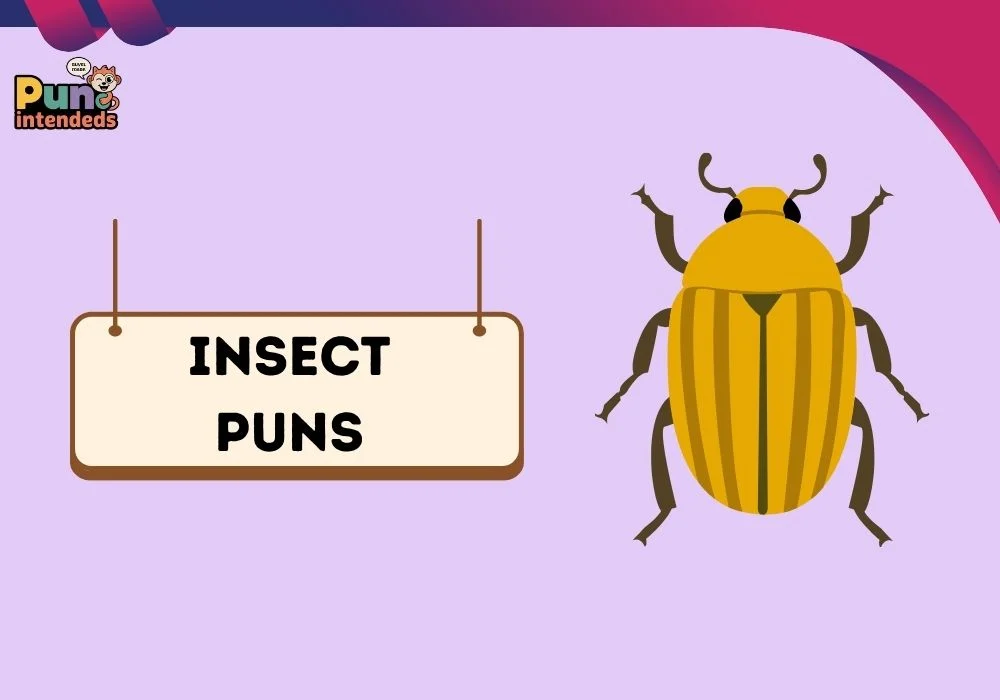 insect puns