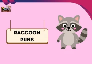 raccoon puns