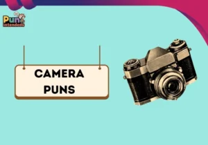 camera puns