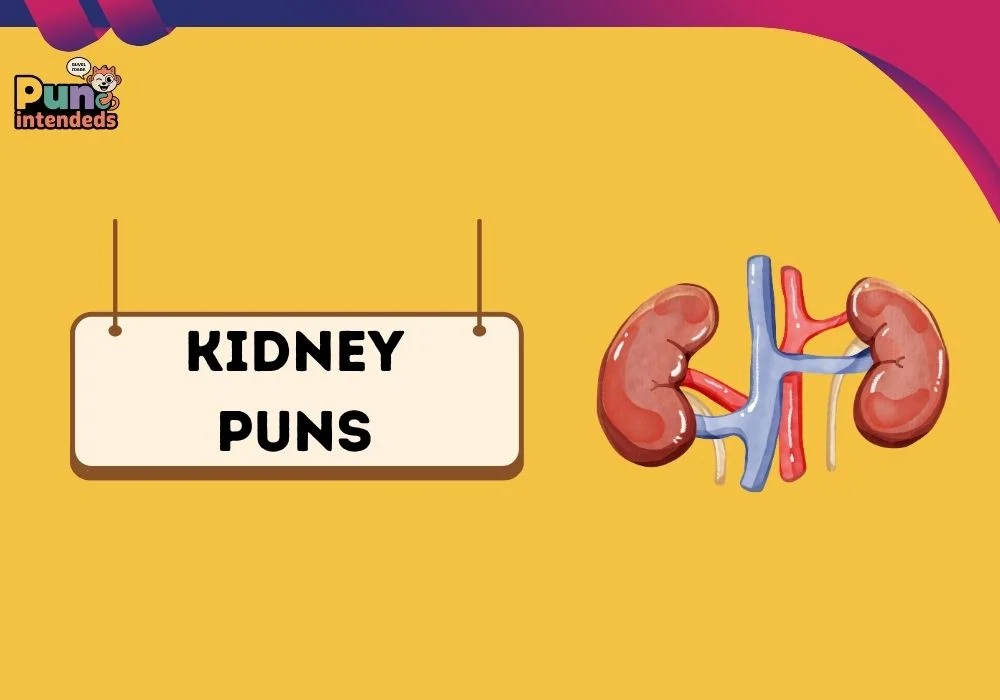 kidney puns