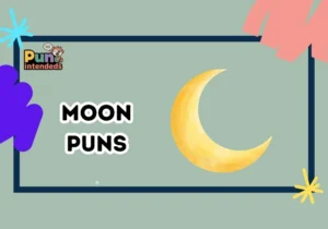 moon puns