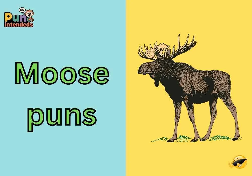moose puns